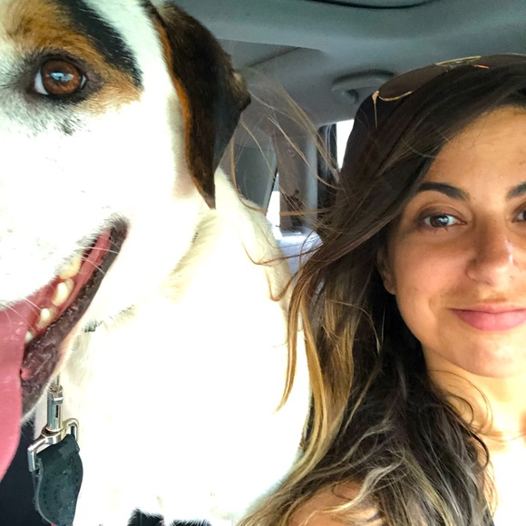 Meet your Posher, Jersey Alvarez - Picture 1 of 1